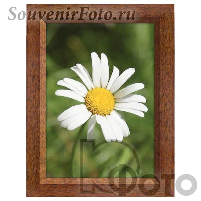 Фоторамка Хофманн, Мод. 33, 15х20 см. Темнокоричневый, орех