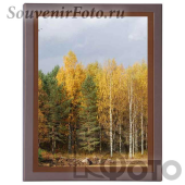 Рамка Хофманн (Hofmann), Мод. 503 Коричневый кант